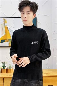 秋冬中领毛衣男小鱼骨头长袖外套男毛衫打底针织衫高领黑M229P35图片
