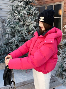 现货新款2179-P255=K365小个子羽绒服图片