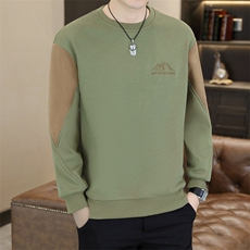 秋冬新款男士休闲时尚圆领60棉套头卫衣打底衫L801-P47-加绒P52，男装T恤，星座310B-3