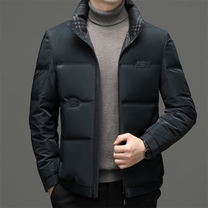 CG72802钱塘2020-2冬季厚款百搭立领中年男士商务休闲羽绒服P220图片