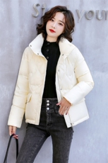 2025冬季新款时尚立领保暖舒适气质显瘦羽绒服，女装羽绒服，天丽