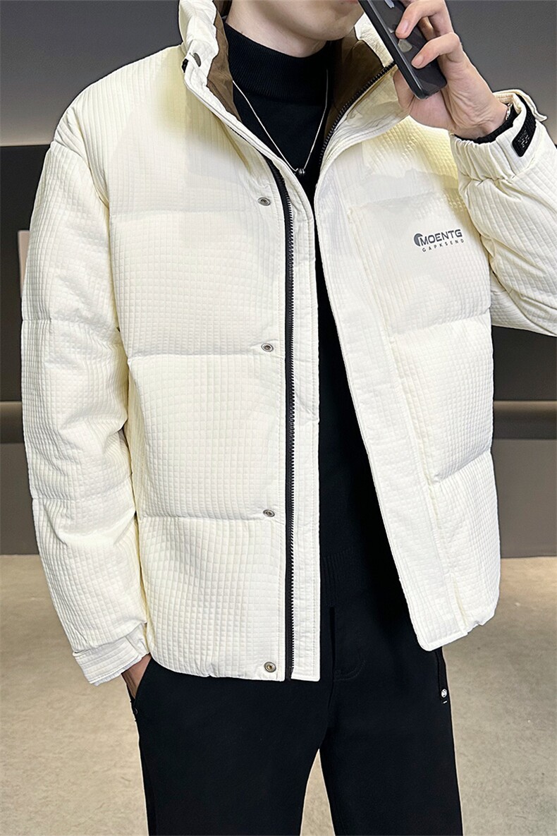 店主风2025年新款时尚立领潮流保暖羽绒服男A236-G61-P185,男装羽绒服,电商A236