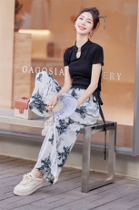 2024新款新中式水墨G风套装女夏季时尚短袖t恤直筒裤两件套，女装套装/套裙，曼娅璐