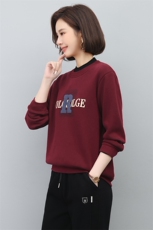 2022年秋季新款韩版半高领卫衣女长袖韩版加绒加厚印花上衣女秋冬，女装卫衣/绒衫，简韵佳