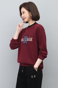 2022年秋季新款韩版半高领卫衣女长袖韩版加绒加厚印花上衣女秋冬图片