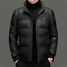 DF8031钱塘2020-2冬季厚款时尚休闲立领百搭中年男士羽绒服P235，男装羽绒服，钱塘207-2
