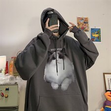 2022潮休闲秋季连帽直筒型卫衣男动物套头新款外套W5370-P28，男装卫衣，星座512-2
