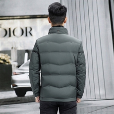 M6803-11钱塘2020-3冬季厚款时尚休闲简约中年男士羽绒服P183，男装羽绒服，钱塘207-3