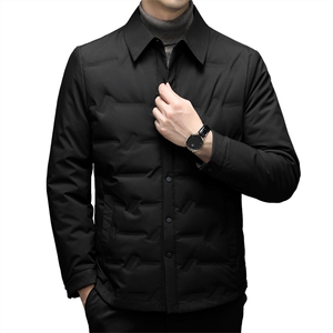 QC8013钱塘2020-2冬季厚款商务休闲翻领中年男士羽绒服P175图片
