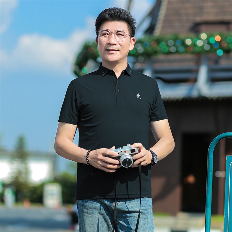 商务休闲男装夏季新款短袖T恤polo衫中年翻领薄款半袖体恤男上装,男装Polo衫,电商B212（原钱塘6029）