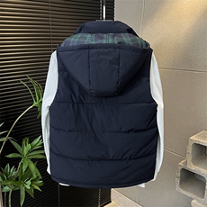 连帽刺绣棉马甲轻奢个性潮流休闲坎肩加厚保暖313B-WB2516-P75，男装棉衣，星座313B