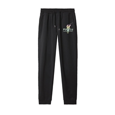 2023春秋季新款男士休闲印花运动服套装中青年时尚卫衣卫裤，男装休闲套装，电商B212（原钱塘6029）