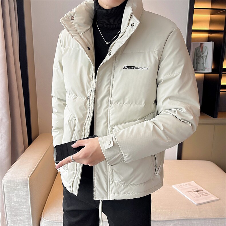 2025冬季店主风新款立领简约休闲羽绒服保暖外套男YR8106-P175图片