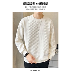 网红提花白t恤男高端设计感华夫格卫衣cityboy圆领套头打底衫，男装T恤，星座506A