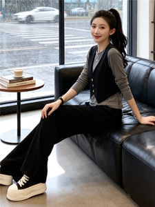 韩版时尚休闲套装女秋季新款马甲假两件长袖上衣宽松阔腿裤两件套图片
