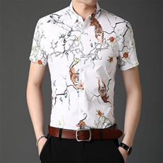 C68802021年夏季新款男式短袖衬衫男商务休闲高端男装，男装衬衫，电商B360