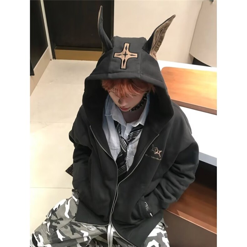 美式复古卫衣外套2025新款春秋季新款连帽开衫上衣WB516-P58图片