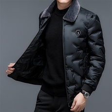 冬季加厚棉服短款男2024新款翻领防水中青年保暖男装外套上衣，男装棉衣，钱塘6003（原4033）
