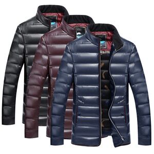 羽绒服 仿皮料 纯色 立领 散口袖 白鸭绒 2020年冬季 商务休闲 青春流行 运动图片