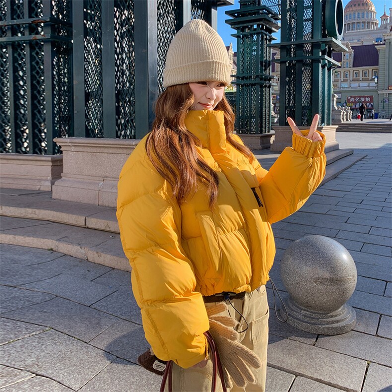 2025新款韩系羽绒服女短款小个子立领面包服加厚羽绒服外套,女装羽绒服,诺蝶