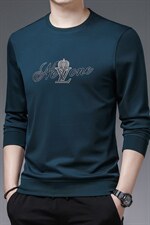 春秋季2023新款印花薄卫衣圆领宽松免烫中年商务休闲男士上衣，男装卫衣，电商B212（原钱塘6029）