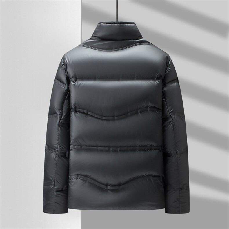 V3806钱塘2020-3冬季厚款时尚休闲新款中年男士90鸭绒羽绒服P243,男装羽绒服,钱塘207-3