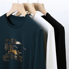 圆领男士卫衣春秋季新款商务休闲时尚中年款印花男士长袖上衣，男装卫衣，电商B212（原钱塘6029）