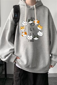 WY2215-P35 加绒款-P40 纯棉连帽卫衣男大码运动帽衫宽松薄外套男图片
