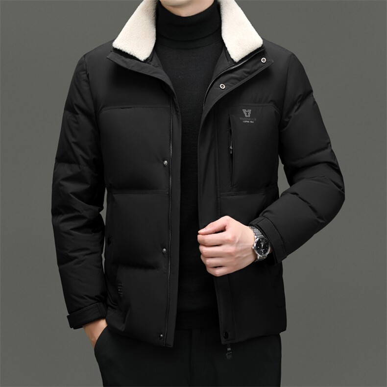 DF31826钱塘2020-2商务休闲立领百搭简约中年男士羽绒服P273,男装羽绒服,钱塘207-2