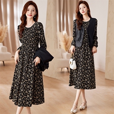 2023年秋季女时尚气质时髦皮马甲+连衣裙套装，女装套装/套裙，艾贝斯