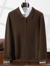 2025年秋冬羊毛衫100羊毛开衫长袖套头时尚都市polo领外套，男装针织衫/毛衣，星纬羊绒