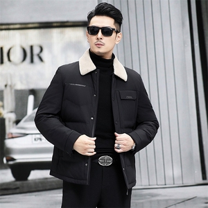 M6808-11钱塘2020-3冬季厚款时尚休闲简约中年男士羽绒服P183图片