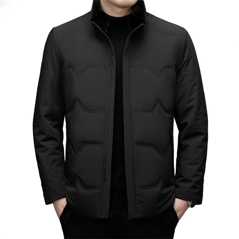 DJ9929钱塘2020-3中年男士冬季厚款商务休闲立领羽绒服P510,男装羽绒服,钱塘207-3