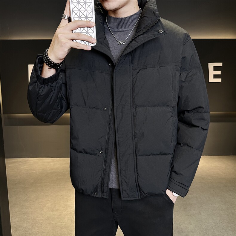 新标立领轻奢羽绒服现货高品质男情侣保暖外套数据款Y5511-P195,男装羽绒服,电商A237