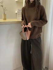 2026年秋季时尚百搭通勤简约休闲插肩高领，女装羊毛衫，圣旺供货