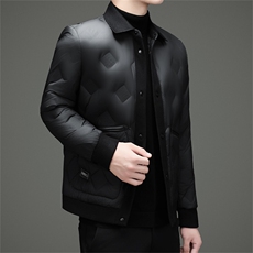 2025冬季新款男士翻领羽绒服50绒子白鸭绒时尚商务休闲羽绒服外套，男装羽绒服，钱塘723