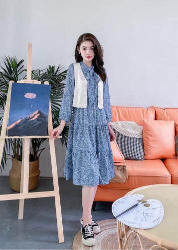 【现货】马甲连衣裙两件套，女装马夹，萱萱家