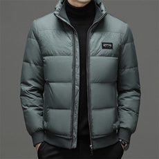 男士立领加厚保暖羽绒服新款冬季男装中年商务休闲外套爸爸装，男装羽绒服，电商B212（原钱塘6029）