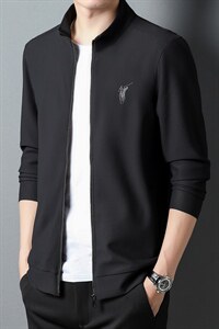 S3091钱塘2020-2秋季新款时尚休闲简约立领中青年男士卫衣P97图片