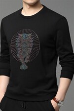 男士纯棉薄款春秋季中年圆领卫衣2023新款宽松长袖t恤男打底衫，男装卫衣，电商B212（原钱塘6029）