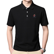 短袖体恤衫男装夏季新品男士商务休闲中年polo衫时尚潮流百搭上衣，男装T恤，电商B212（原钱塘6029）