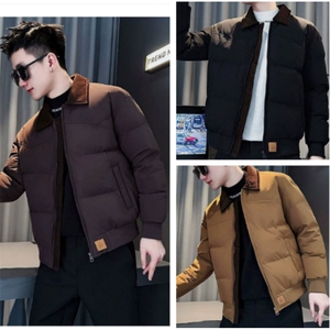 (网图)潮流翻领棉衣休闲宽松百搭痞帅时尚棉服保暖313B-1501-P120图片