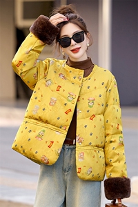 新中式国风羽绒服女2024冬季洋气独特别致超好看黄色印花保暖外套图片