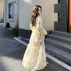 新品时尚蕾丝印花刺绣连衣裙2603-P175-K289，女装连衣裙，2C261