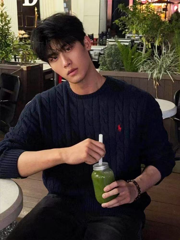 韩麻花纹圆领针织毛衣男2025冬季小马刺绣毛线衣XM06P60,男装针织衫/毛衣,电商D256