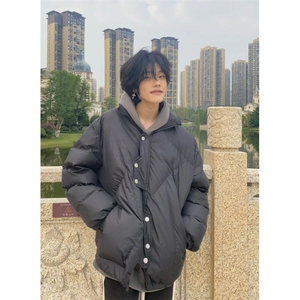 网络图现货！不规则立领棉服外套高级设计感小众棉服RY112-P110图片