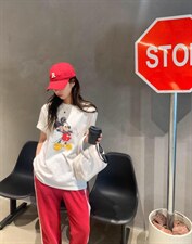 丅恤，其它，红嘴鸥