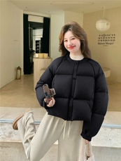 现货新款2B162-2157-P345-K509新G标90白鸭绒羽绒服外套，女装羽绒服，韩然一族