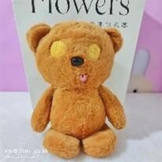 天磊毛绒玩具 小熊