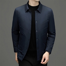 冬季男士新款棉衣商务休闲棉服中年厚款保暖翻领纯色外套，男装棉衣，电商B212（原钱塘6029）